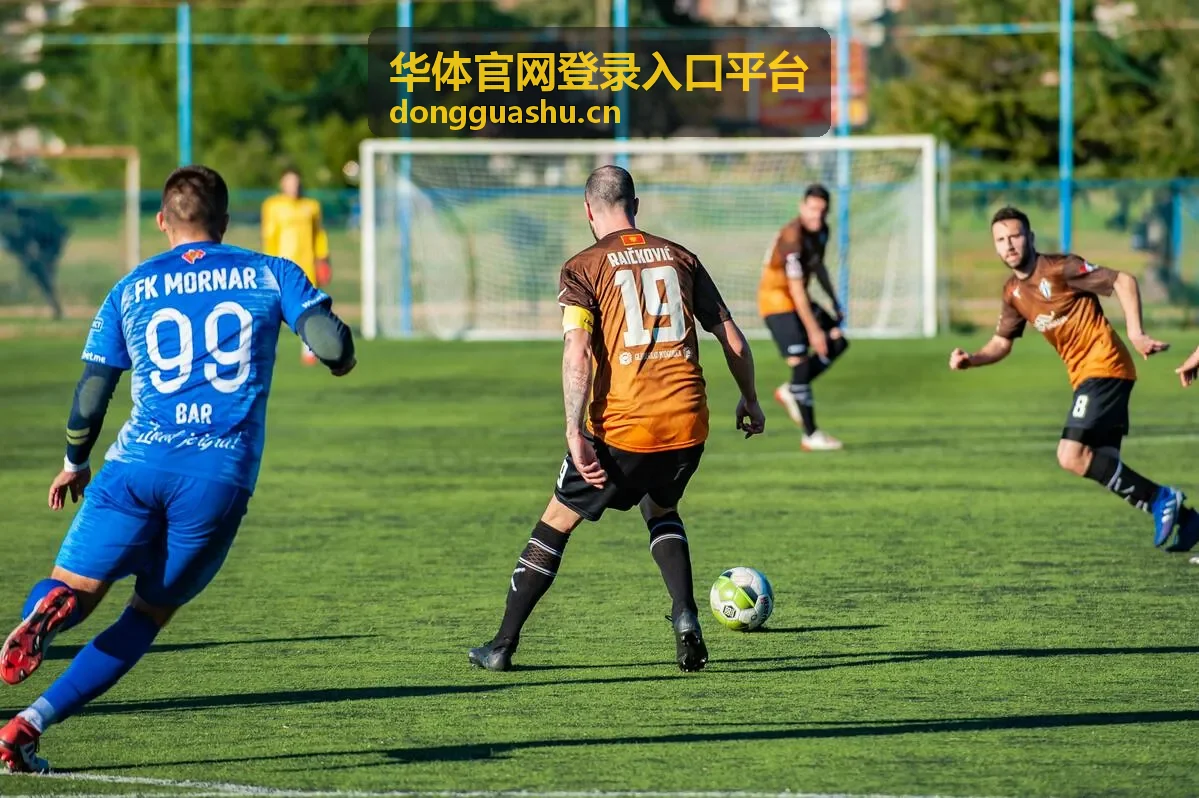 华体官网登录入口平台场馆入场核验与现场动线示意