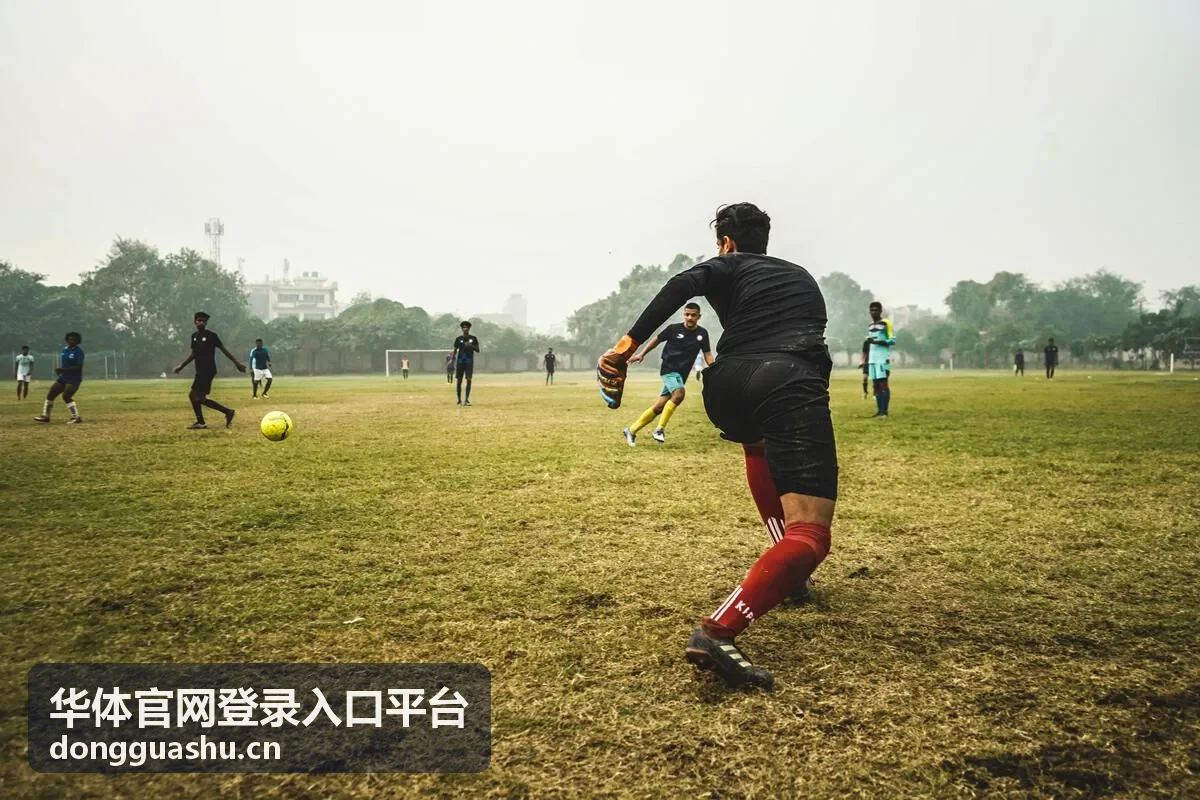 华体官网登录入口平台等级权益对照详解封面